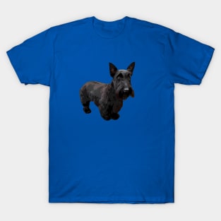 Scottish Terrier Puppy Dog T-Shirt